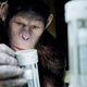 Image for article titled Want to Stay Healthy? You'll Need to Become a Human-Animal Hybrid.